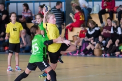 telimatra_2019_17
