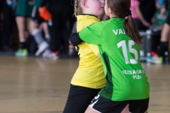 telimatra_2019_19