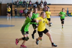 telimatra_2019_24