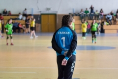 telimatra_2019_31