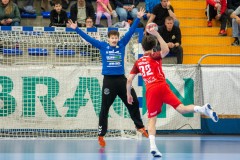 hbbgy_neka_1108_11
