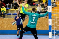 hbbgy_pler_0117_25