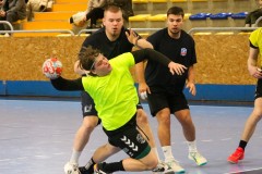 hbbgy_pler_0117_46
