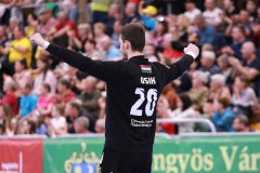 hbbgy_vesz_0404_m_12